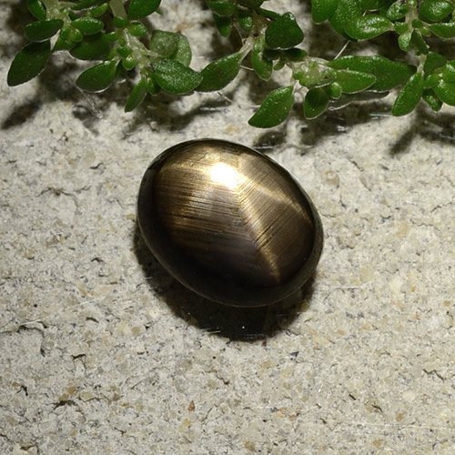 Черный Звездчатый Сапфир Камень - 2.1ct Овал Кабошон (ID: 488641)