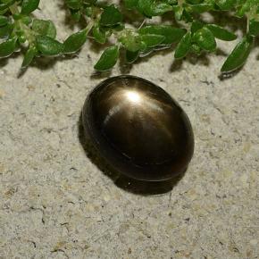 2.7ct Oval Cabochon Black Star Sapphire for sale thumb image of 2.7ct Oval Cabochon Black Star Sapphire (ID: 488643)