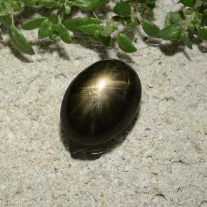 Star Sapphire Gemstone in 8.8 x 6.5 mm Size for Sale, Star Sapphire Stone in Black Color