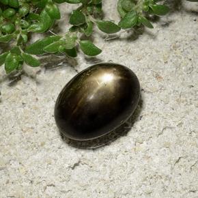 2.41 ct Black Star Sapphire Stone, Natural Star Sapphire in Oval Cabochon Shape for Sale