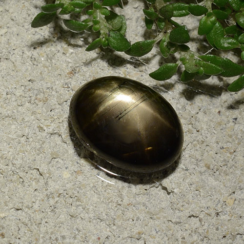 Zaffiro stellato 9,1 x 6,7mm nero Ovale cabochon dalla Thailandia, peso di 2,09 ct, gemma naturale Riempimento delle fessure in purezza Opaque, 1 pezzo Zaffiro stellato - Colore: Nero, durezza Mohs di 9 adatto per gioielli da indossare ogni giorno, Photo A