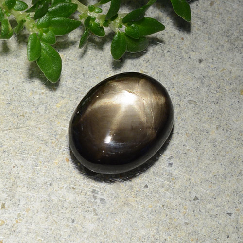 Black Star Sapphire Gem - 2.1ct Oval Cabochon (ID: 488734)