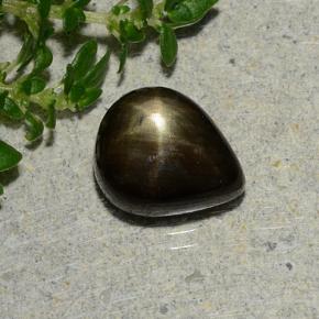 1.9ct Pear Cabochon Black Star Sapphire for sale thumb image of 1.9ct Pear Cabochon Black Star Sapphire (ID: 488739)