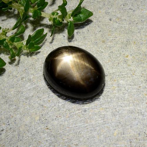 1.97 ct Black Star Sapphire Stone, Natural Star Sapphire in Oval Cabochon Shape for Sale