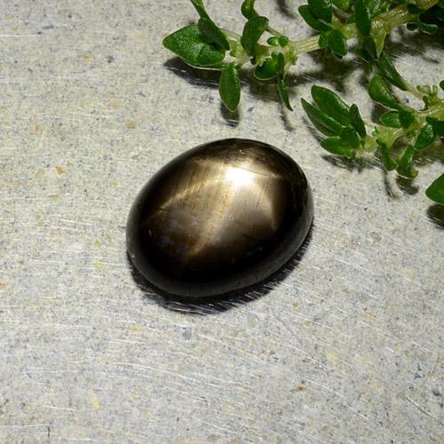 Star Sapphire Gemstone in 8.5 x 6.6 mm Size for Sale, Star Sapphire Stone in Black Color