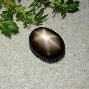 1.8ct Oval Cabochon Black Star Sapphire Gem for sale 1.8ct Oval Cabochon Black Star Sapphire Gem (ID: 488742)