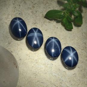 Bleu marine profond Saphir Étoilé gemme - 0.8ct Ovale Cabochon (ID: 489798)