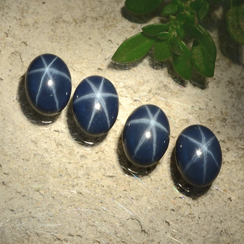 Dark Blue Star Sapphire Gem - 1.5ct Oval Cabochon (ID: 489807)