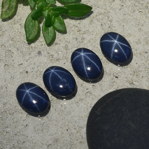 Dark Blue Star Sapphire Gem - 0.9ct Oval Cabochon (ID: 489835)