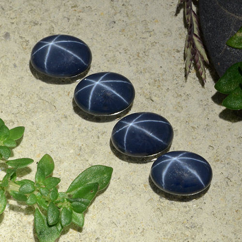 Deep Navy Blue Star Sapphire Gem - 1.1ct Oval Cabochon (ID: 489854)