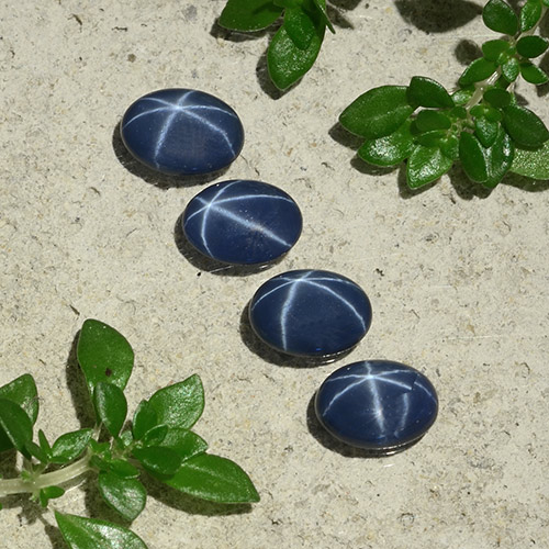 Deep Navy Blue Star Sapphire Gem - 0.7ct Oval Cabochon (ID: 490128)