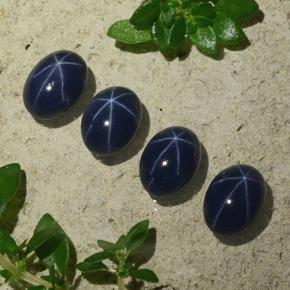 1.2ct Oval Cabochon Blue Star Sapphire Gem for sale 1.2ct Oval Cabochon Blue Star Sapphire Gem (ID: 490177)