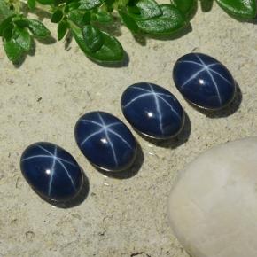 Dark Blue Star Sapphire Gem - 1.4ct Oval Cabochon (ID: 490188)
