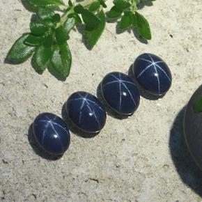 Deep Navy Blue Star Sapphire Gem - 1.4ct Oval Cabochon (ID: 490208)