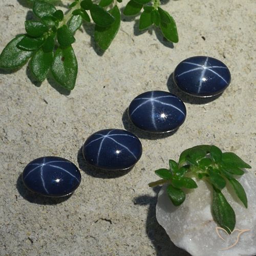 Lote de 4 piezas de Zafiro Estrella Azul oscuro Ovalada de Tailandia - Tamaño 7 x 5,2mm, peso 4,51 ct en total / promedio. 1,13 ct cada uno, dureza de Mohs 9 Adecuado para joyas de uso diario, Photo A
