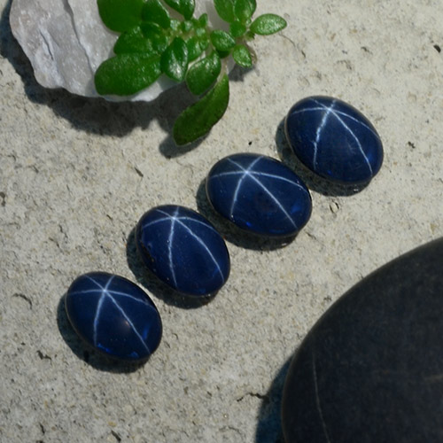 Deep Blue Star Sapphire Gem - 0.8ct Oval Cabochon (ID: 490215)