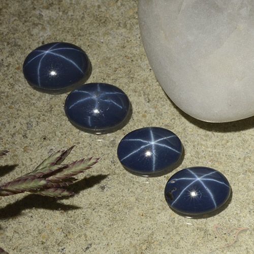 Deep Navy Blue Star Sapphire Gem - 0.8ct Oval Cabochon (ID: 490222)