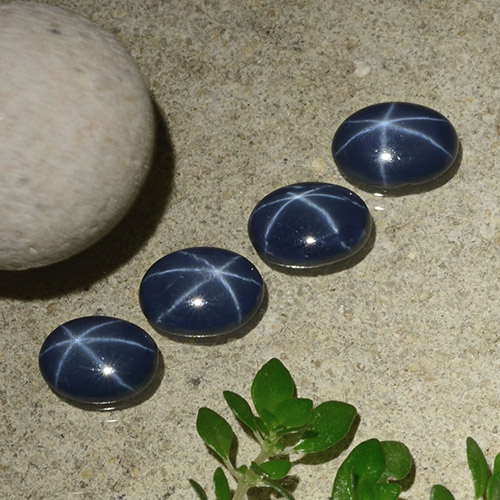Lote de 4 piezas de Zafiro Estrella Azul oscuro Ovalada de Tailandia - Peso 3 ct en total / promedio. 0,75 ct cada uno, Tamaño 6,6 x 4,9mm, Color: Azul oscuro, Dureza Mohs 9 Adecuado para joyas de uso diario, Photo A