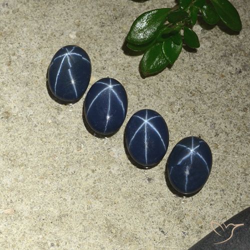 Dark Blue Star Sapphire Gem - 0.9ct Oval Cabochon (ID: 490235)