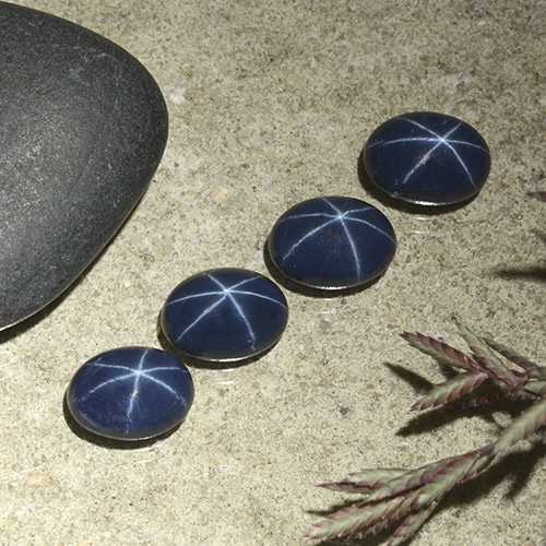 Dark Blue Star Sapphire Gem - 1.3ct Oval Cabochon (ID: 490238)