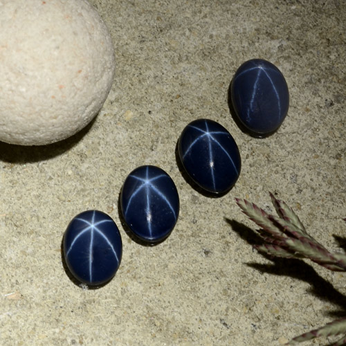 Dark Blue Star Sapphire Gem - 0.8ct Oval Cabochon (ID: 490239)