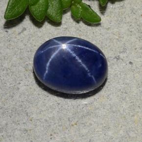 Azul marino Zafiro Estrella Gema - 1.5ct Cabujón Óvalo (ID: 490350)