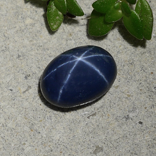 Deep Navy Blue Star Sapphire Gem - 1.3ct Oval Cabochon (ID: 490359)
