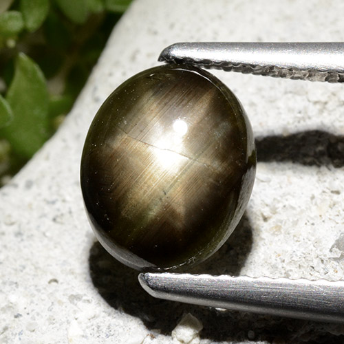 Black Star Sapphire Gem - 2.7ct Oval Cabochon (ID: 498733)