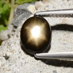1.9ct Oval Cabochon Black Star Sapphire Gem for sale 1.9ct Oval Cabochon Black Star Sapphire Gem (ID: 498742)