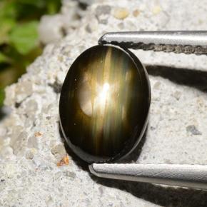 Черный Звездчатый Сапфир Камень - 3ct Овал Кабошон (ID: 498744)