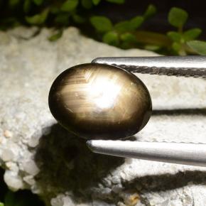 2.71 ct Black Star Sapphire Stone, Natural Star Sapphire in Oval Cabochon Shape for Sale