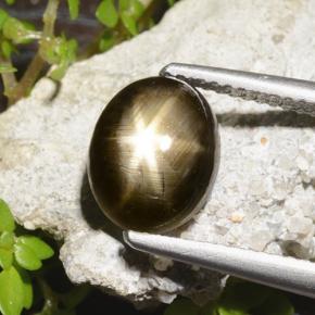 3.3ct Oval Cabochon Black Star Sapphire Gem for sale 3.3ct Oval Cabochon Black Star Sapphire Gem (ID: 498759)