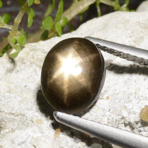 Black Star Sapphire Gem - 2.8ct Oval Cabochon (ID: 498760)