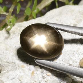 2.78 ct Black Star Sapphire Stone, Natural Star Sapphire in Oval Cabochon Shape for Sale