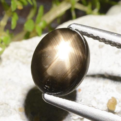 Black Star Sapphire Gem - 3.4ct Oval Cabochon (ID: 498761)