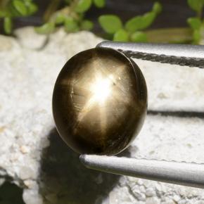 Negro Zafiro Estrella Gema - 3.5ct Cabujón Óvalo (ID: 498762)