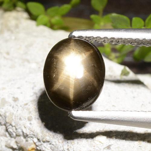 Black Star Sapphire Gem - 2ct Oval Cabochon (ID: 498764)