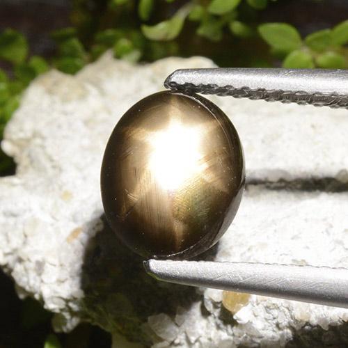 Black Star Sapphire Gem - 2.7ct Oval Cabochon (ID: 498767)