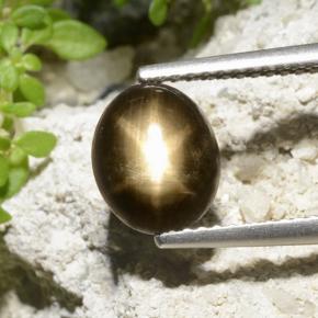 2.9ct Oval Cabochon Black Star Sapphire Gem for sale 2.9ct Oval Cabochon Black Star Sapphire Gem (ID: 498771)