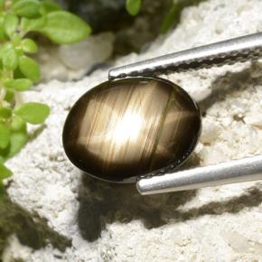 2.32 ct Black Star Sapphire Stone, Natural Star Sapphire in Oval Cabochon Shape for Sale