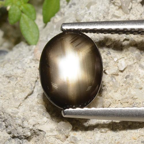 Black Star Sapphire Gem - 2.5ct Oval Cabochon (ID: 498773)
