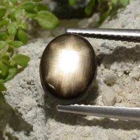 Negro Zafiro Estrella Gema - 3ct Cabujón Óvalo (ID: 498775)