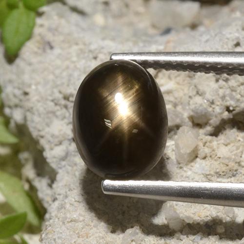 Black Star Sapphire Gem - 3.9ct Oval Cabochon (ID: 498777)