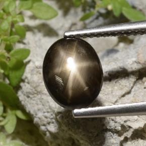 2ct Oval Cabochon Black Star Sapphire Gem for sale 2ct Oval Cabochon Black Star Sapphire Gem (ID: 498779)