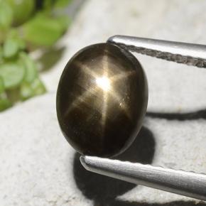 Черный Звездчатый Сапфир Камень - 2.6ct Овал Кабошон (ID: 498781)