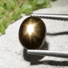 2.54 ct Black Star Sapphire Gemstone, Star Sapphire Gem in Oval Cabochon Shape for Sale.