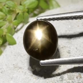 Black Star Sapphire Gem - 2.4ct Oval Cabochon (ID: 498785)