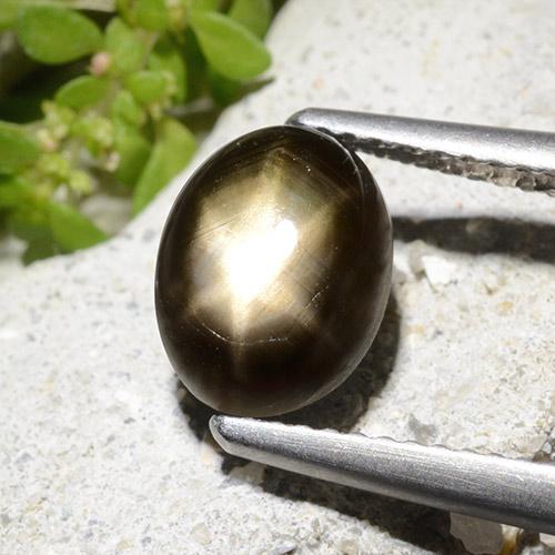 Черный Звездчатый Сапфир Камень - 3ct Овал Кабошон (ID: 498789)