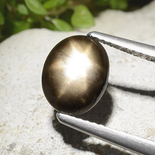 Черный Звездчатый Сапфир Камень - 2.8ct Овал Кабошон (ID: 498791)
