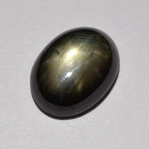 Black Star Sapphire Gem - 1.5ct Oval Cabochon (ID: 517832)